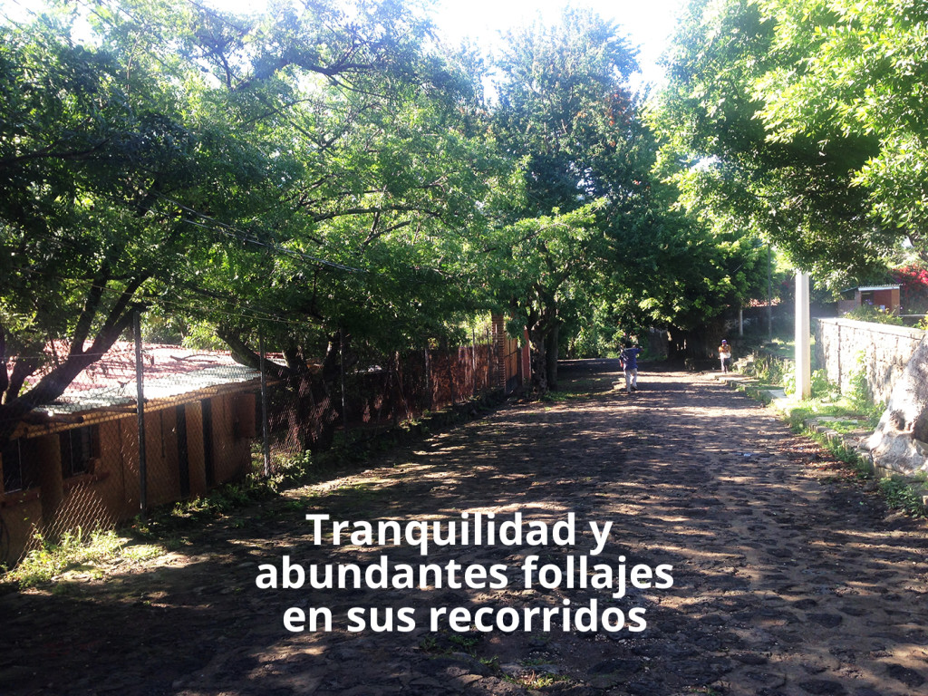 Casas_en_venta_renta_vacacionales_Amatlan_quetzalcoatl_Tepoztlan_Morelos_3