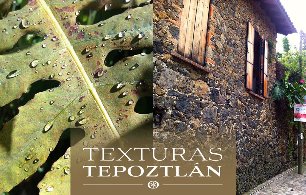 Inmobiliaria_en_Tepoztlan_Morelos_Mexico_Bienes_raices_Casa_en_venta_vista_cerros_de_lujo_con_alberca_Tepoztlan_13