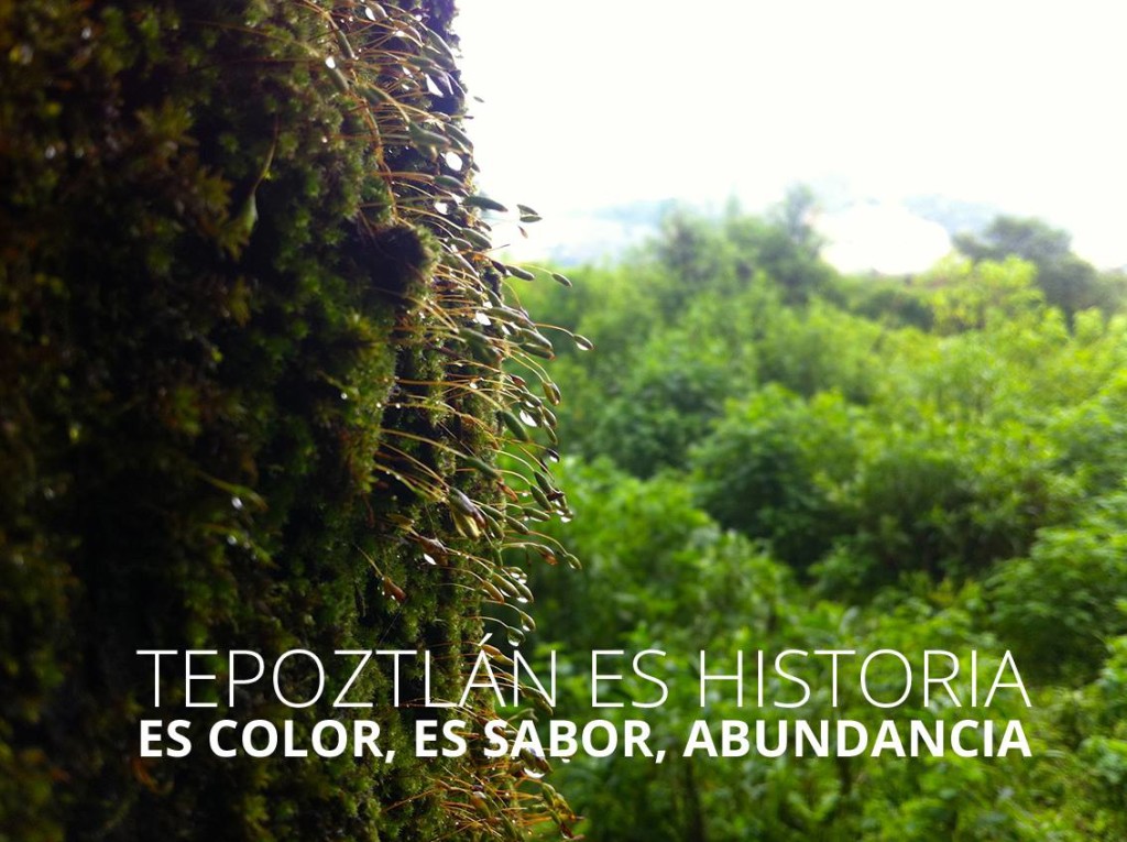 Inmobiliaria_en_Tepoztlan_Morelos_Mexico_Bienes_raices_Casa_en_venta_vista_cerros_de_lujo_con_alberca_Tepoztlan_2