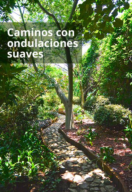 Tepoztlan_caminos_en_jardines_feng_shui_ondulaciones