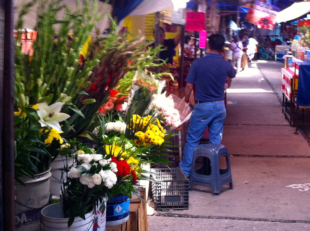 Tepoztlan_color_sabor_olor_en_pueblo_magico