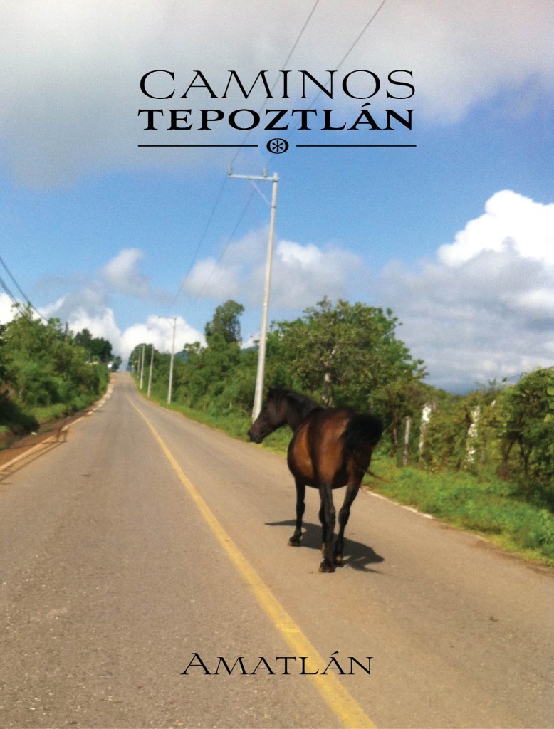 bienes_raices_de_lujo_en_el_bosque_con_alberca_casa_de_campo_Tepoztlan_pueblo_magico