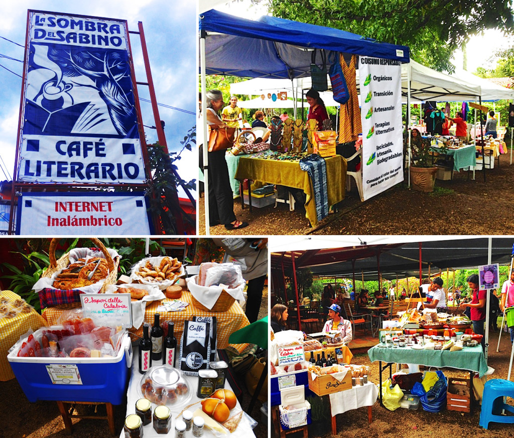Mercado_organico_local_tepoztlan_comida_sana_verduras_certificaco_comunidad_pueblo_magico_bienes_raices_1