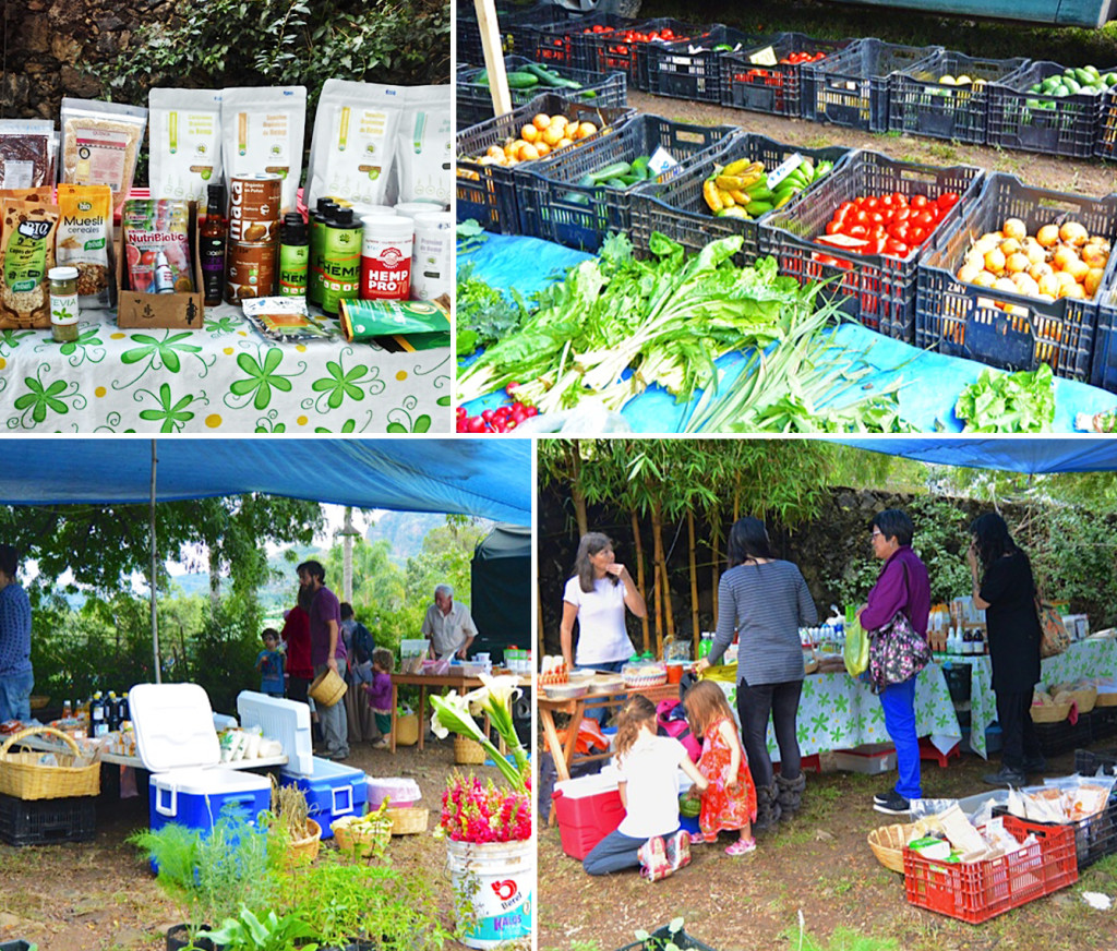 Mercado_organico_local_tepoztlan_comida_sana_verduras_certificaco_comunidad_pueblo_magico_bienes_raices_2