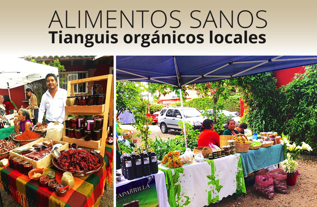 Mercado_organico_local_tepoztlan_comida_sana_verduras_certificaco_comunidad_pueblo_magico_bienes_raices_3
