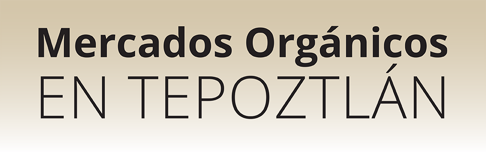 Mercado_organico_local_tepoztlan_comida_sana_verduras_certificaco_comunidad_pueblo_magico_bienes_raices_4