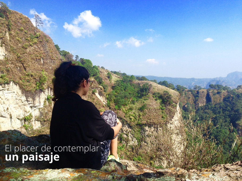 Bienes_raices_tepoztlan_venta_casas_en_el_campo_paisajes_con_alberca_1
