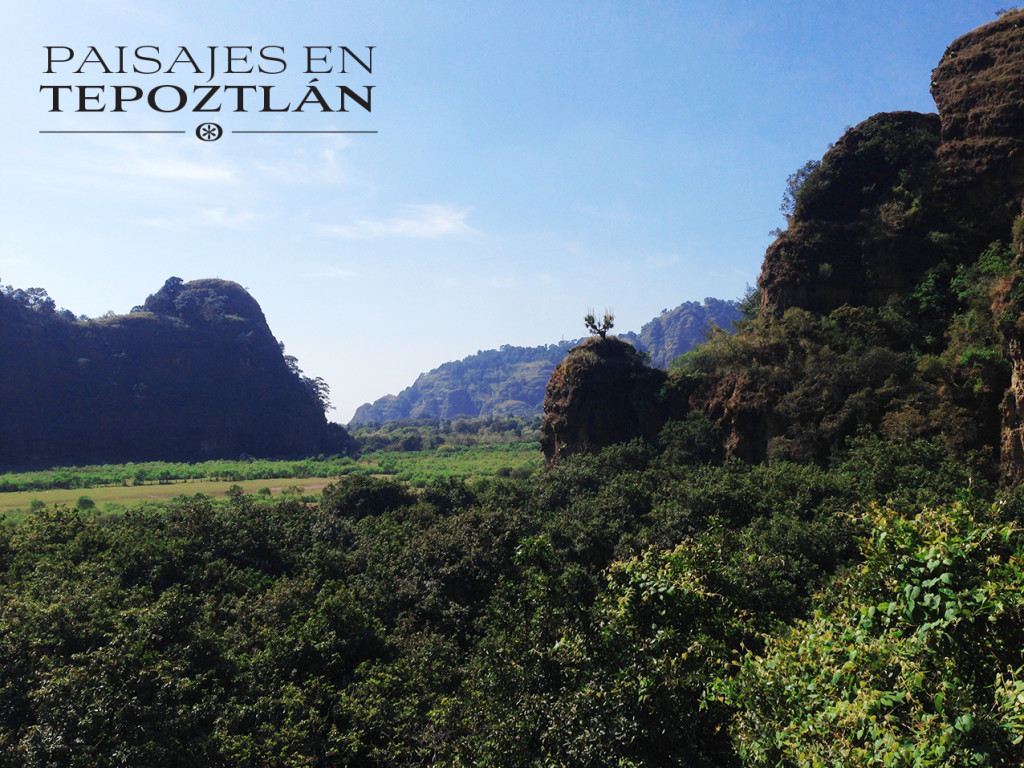 Bienes_raices_tepoztlan_venta_casas_en_el_campo_paisajes_con_alberca_2