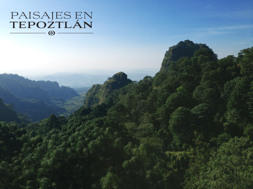 Bienes_raices_tepoztlan_venta_casas_en_el_campo_paisajes_con_alberca_3
